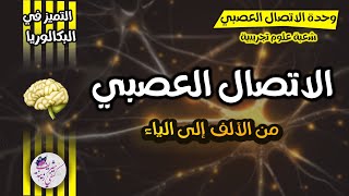 في الدقيقة 55🥇الاتصال العصبي 💫من الألف إلى الياء 🔥بكالوريا 2024 [upl. by Treacy34]