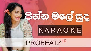 Pinna Male Suda  PROBEATZ LK  sinhalakaraoke Without Voice FLASHING Lyrics  පින්න මලේ සුද [upl. by Filmore]