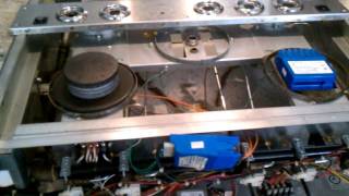 Dynamic Cooking Systems  DCS Stove Clicking Sound Part I [upl. by Dailey]