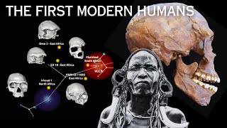 New Fossil Discovery in Africa Changes Early Human History [upl. by Dwane624]