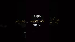 CapCut islamicvideoforstatus alquran with Urdu translation islampageforyou islamicknowledge is [upl. by Jd767]