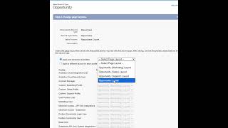 What are Record Types and When to use it in Salesforce [upl. by Rehpotsrihc55]