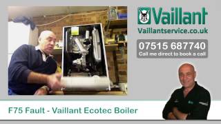 Vaillant Ecotec F75 Fault Code [upl. by Vivica862]