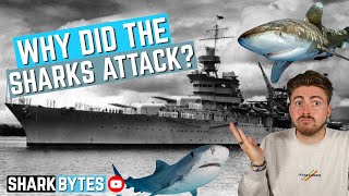 The TRUTH About the USS Indianapolis Shark Attack [upl. by Enattirb]