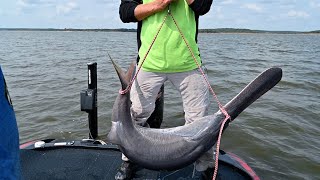 Proper Handling of Paddlefish [upl. by Idnas]