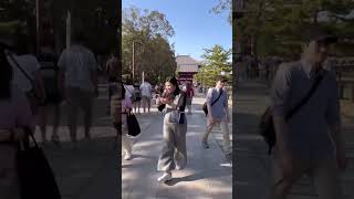 On the way Todaiji Temple  time lapse [upl. by Hennahane]