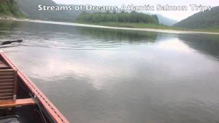 Streams of Dreams Fly Shop Atlantic Salmon Trips 2013 Jon Huff 17 LB Dry Fly Restigouche River [upl. by Annadroj]