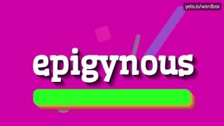 EPIGYNOUS  HOW TO PRONOUNCE IT [upl. by Jakie611]