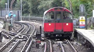 Ealing Common station 29 Oct 24 [upl. by Yasdnyl]