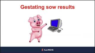 Digestibility of energy by gestating and lactating sows and concentrations of De and ME [upl. by Duggan585]