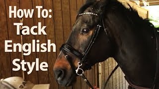 How to Saddle a Horse English Style  Jeffers Equine [upl. by Midis]