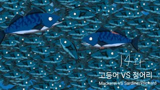 수중동물 왕은 누구 고등어 VS 정어리 Mackerel VS SardinePilchard 14화 강동현tv [upl. by Oskar]