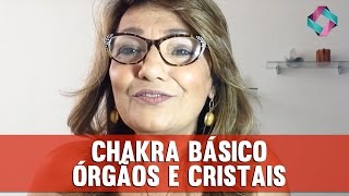 Chakra BÁSICOÓRGÃOS E CRISTAIS  51 de 60 [upl. by Huntlee]