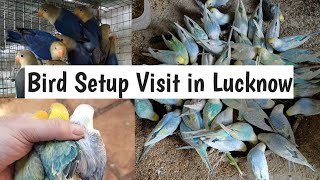 Lucknow Bird Setup Visit [upl. by Spalla988]