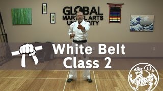 Shotokan Karate Follow Along Class  9th Kyu White Belt  Class 2 [upl. by Ger86]