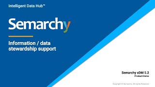 Semarchy xDM  Data Stewardship [upl. by Calvano391]