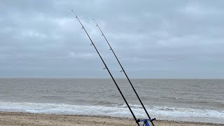 Beach Fishing Suffolk Pakefield are the Cod in [upl. by Nolyad]