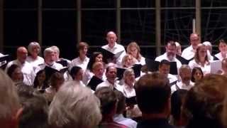 Northwestern University Summer Choir 2013 [upl. by Ahsinik316]