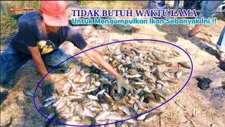 BIKIN MERINDING IKAN SEBANYAK INI DATANG DARI MANA YA [upl. by Adirem244]