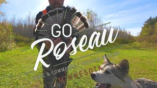 Roseau MN Grouse Hunting 2024 roseaumntourism SITKAGear [upl. by Silirama]