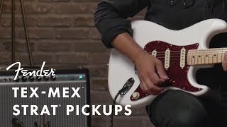 TexMex Pickups  Fender [upl. by Nykal]