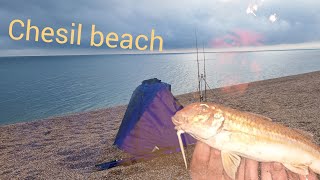 fishing chesil beach 2024 for the first time ever  sea fishing waymoth big beach fishing uk [upl. by Cohby]