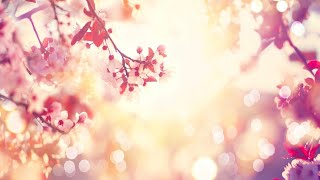 Relaxing Sleep Music • Soft Piano Music for Yoga Meditation Sleep and Relaxation 98 [upl. by Enialb]