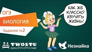 ОГЭ по биологии Вариант № 1 – задание 2 [upl. by Haidebej]