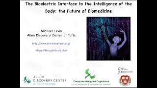 The Bioelectric Interface to the Intelligence of the Body the future of biomedicine [upl. by Akcinahs12]