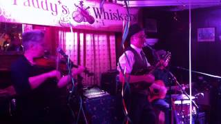 Paddys Whiskers Irish Band Devon Playing The Galway Girl at The Snooty Fox St Patricks Party 2015 [upl. by Downes164]