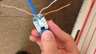 How to properly terminate RJ45 keystone jack to CAT56 cable [upl. by Ahsyat]