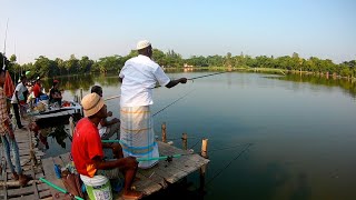 Bighead fishing with beautiful nature 🎣 Amazing hook fishing videos 🎣 Fishing [upl. by Hamo717]