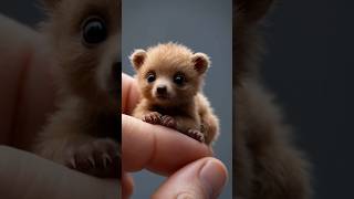 【Kawaii】A baby bear on your fingertips Its cuteness will soothe you [upl. by Peursem]