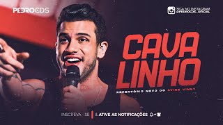 ÁVINE VINNY  CAVALINHO [upl. by Tebzil]