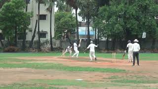 Stumped in Fast Bowling shorts cricket [upl. by Haerb]