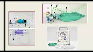 Neonatal Resuscitation Guidelines NRP 2022  dr Hanaa Saeed [upl. by Enelaj82]