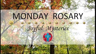 Monday Rosary • Joyful Mysteries of the Rosary 💙 November 20 2023 VIRTUAL ROSARY  MEDITATION [upl. by Berkie329]