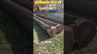 Veneer Sale Black Gold husqvarna logger logging timber getpaid [upl. by Alebasi876]