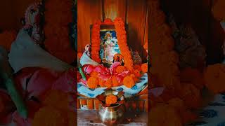 Maa manasa pujajay maa manasa🌺Anwesha045 nitya puja🩷🌺🙏 [upl. by Waldner]