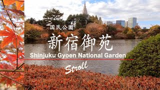 新宿御苑 Shinjuku Gyoen National Garden Nov2023 [upl. by Ardnaek]