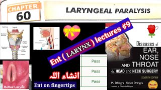 laryngeal paralysis🔴 ENT LARYNX LECTURES 9 LARYNX [upl. by Stav]