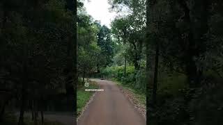 Moodgall Keradi Kundapur shortsvideo shorts short youtubeshorts youtube travel [upl. by Ailisab]