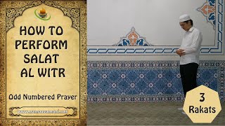 How to perform The Three Rakat Salat alWitr Odd Numbered Prayer [upl. by Ellehsat216]