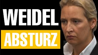 UmfrageBeben Weidel auf letztem Platz [upl. by Inaboy890]