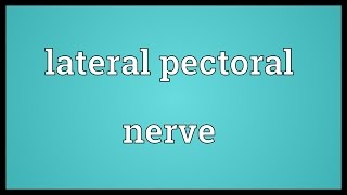 Lateral pectoral nerve Meaning [upl. by Etnud]