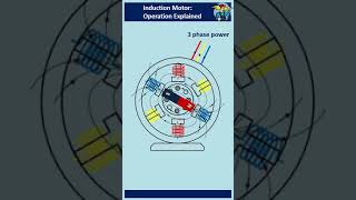 Induction Motor Connection  3 Phase Induction Motor  Three Phase Induction Motor Connection [upl. by Georas416]