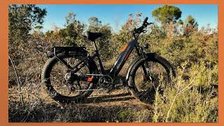 Lankeleisi MG600 Plus 2024 best electric fat bikes [upl. by Lacsap69]