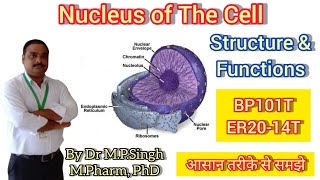 Nucleus  Structure amp Functions  Nucleolus  Human Anatomy amp Physiology  BP101T  ER2014T [upl. by Esya590]