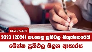 2023 2024 සාපෙළ ප්‍රතිඵල නිකුත් කෙරේ ප්‍රතිඵල බලන ආකාරය [upl. by Emily]