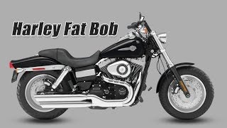 Harley Fat Bob — SuperBrace Install Video [upl. by Swithin]